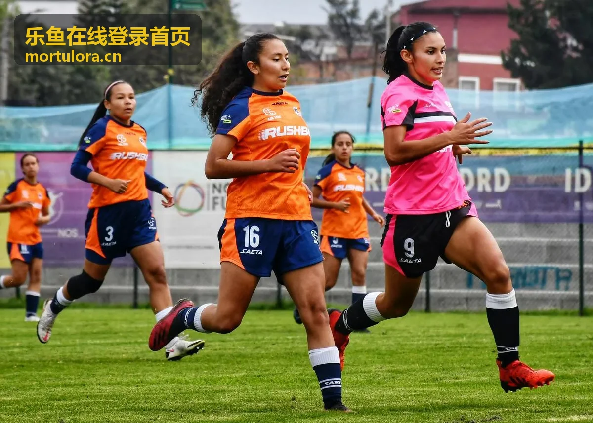 乐鱼在线登录首页三种账号验证方式对比示意